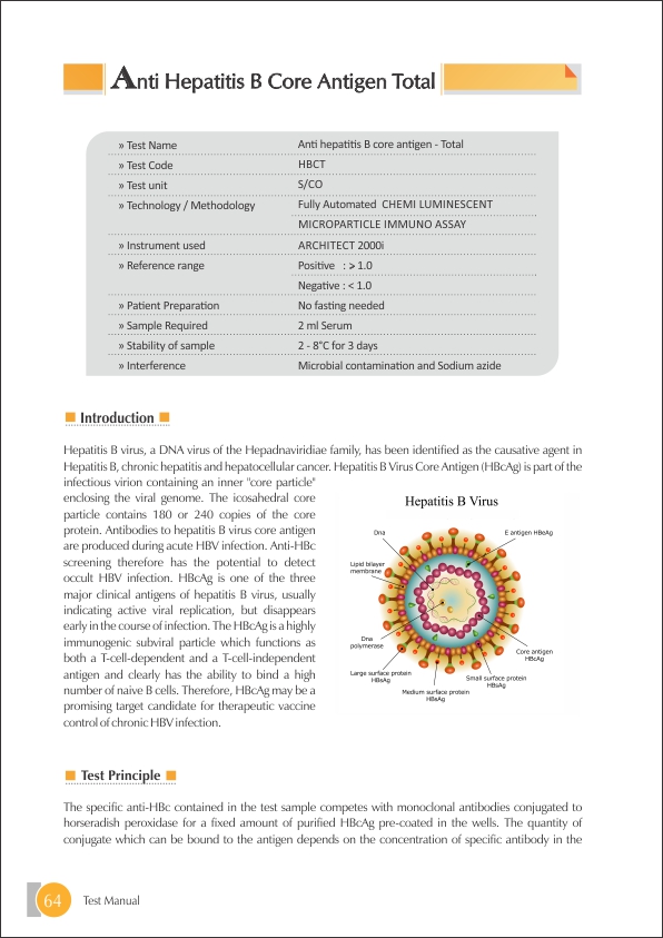 Anti Hepatitis B Core Antigen (AHBC) - TOTAL Test @ 670