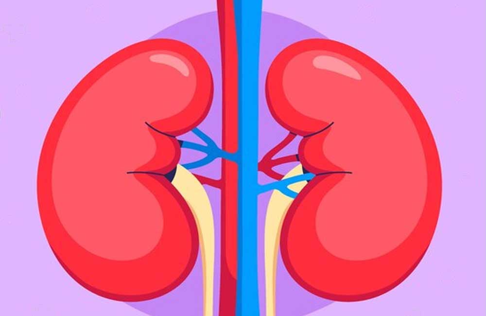 what-should-you-know-about-kidney-failure