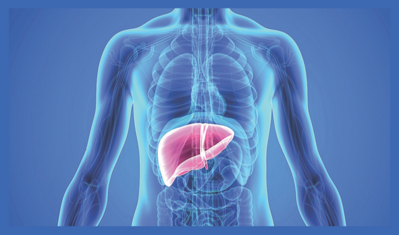 How to stay away from liver diseases?