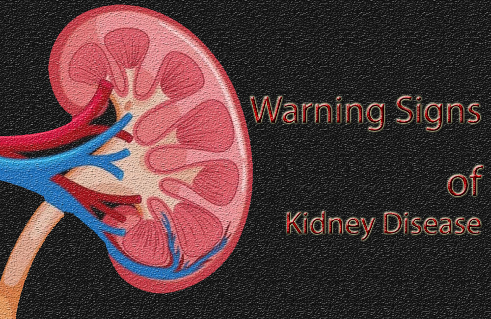 What Are The Warning Signs Of Kidney Disease?